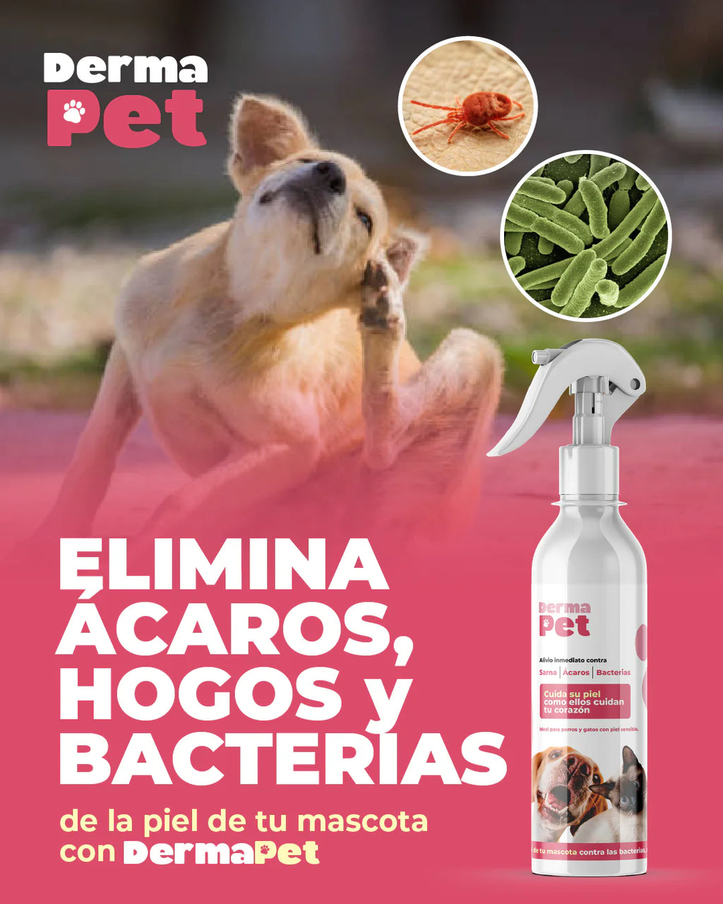DERMAPET perritos y gatitos felices Solución topica🐶 + envio gratis